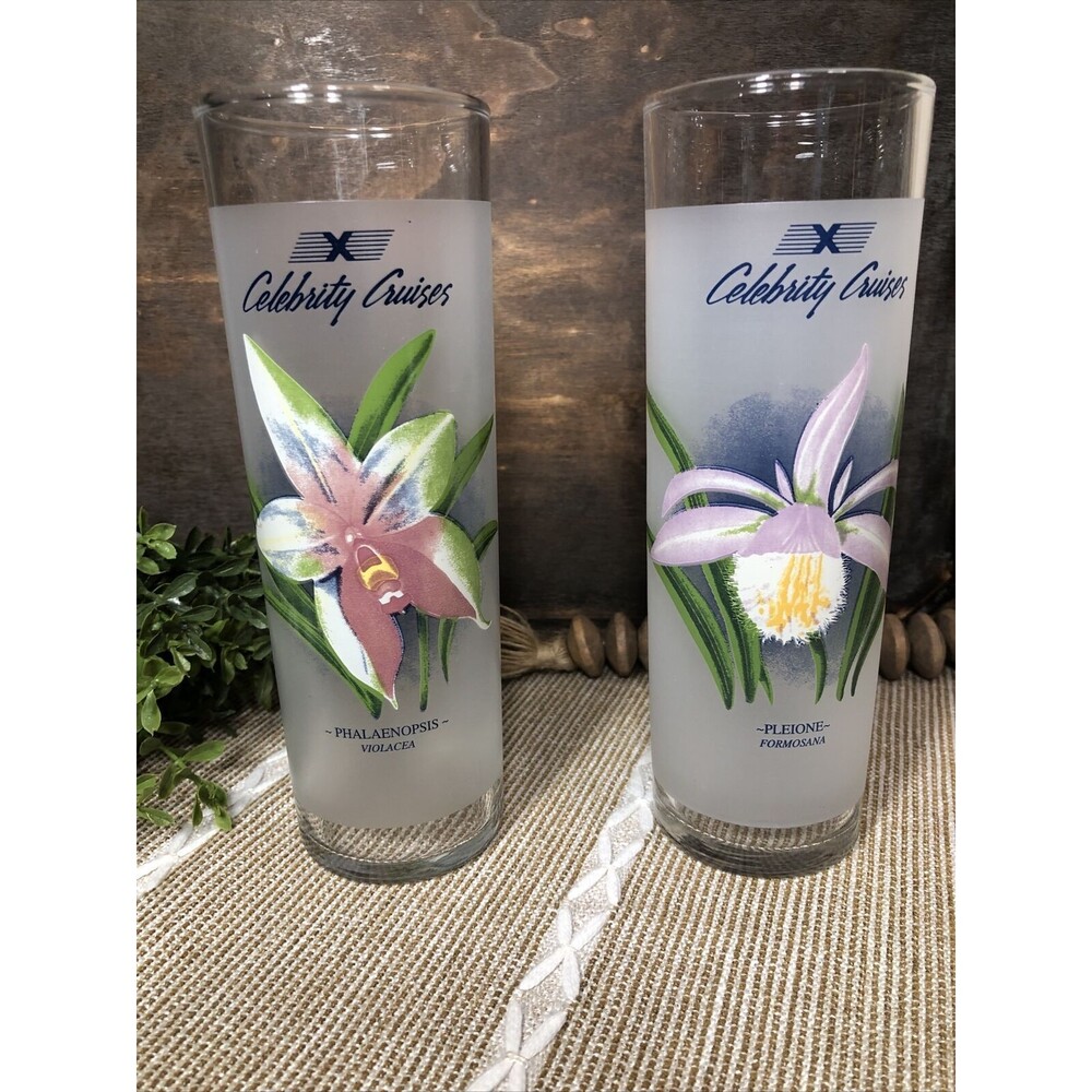 Vintage Pair of 2 Celebrity Cruises 7" Orchid Frosted Highball Glasses Tumblers
